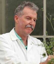 Philip A Roberts